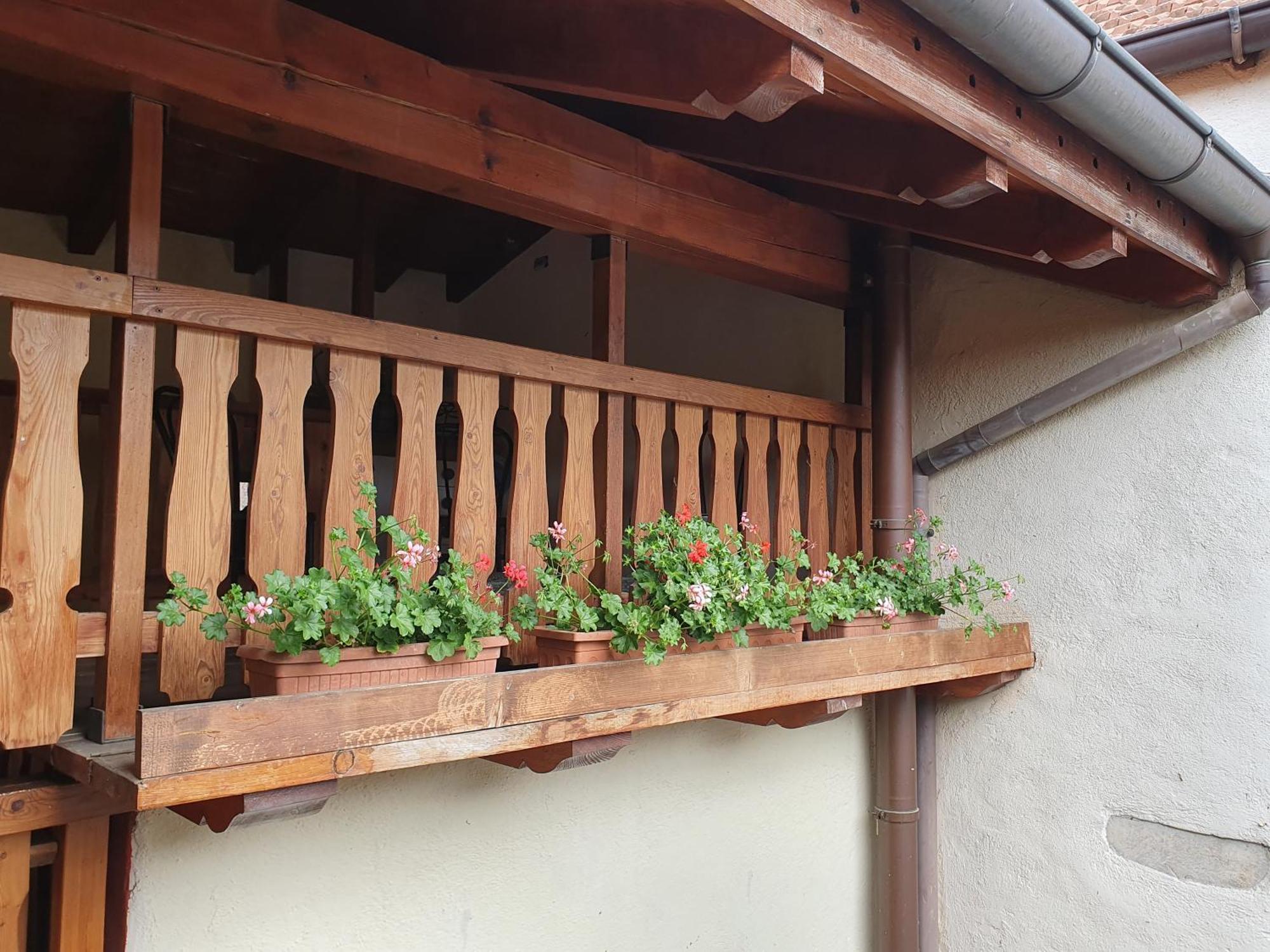 Appartamenti Vacanze E Camere Roccetta Fiorita Pettenasco Zimmer foto